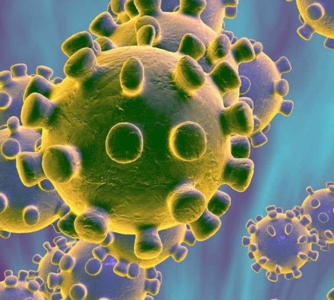 Government's directive to adopt high alertness to prevent spread of corona virus