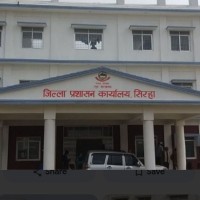 bibidh image