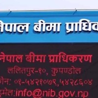 bibidh image