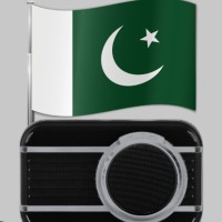bibidh image