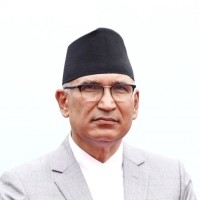 bibidh image
