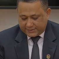 bibidh image