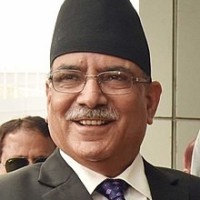 bibidh image