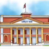 bibidh image