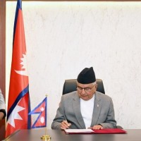 bibidh image