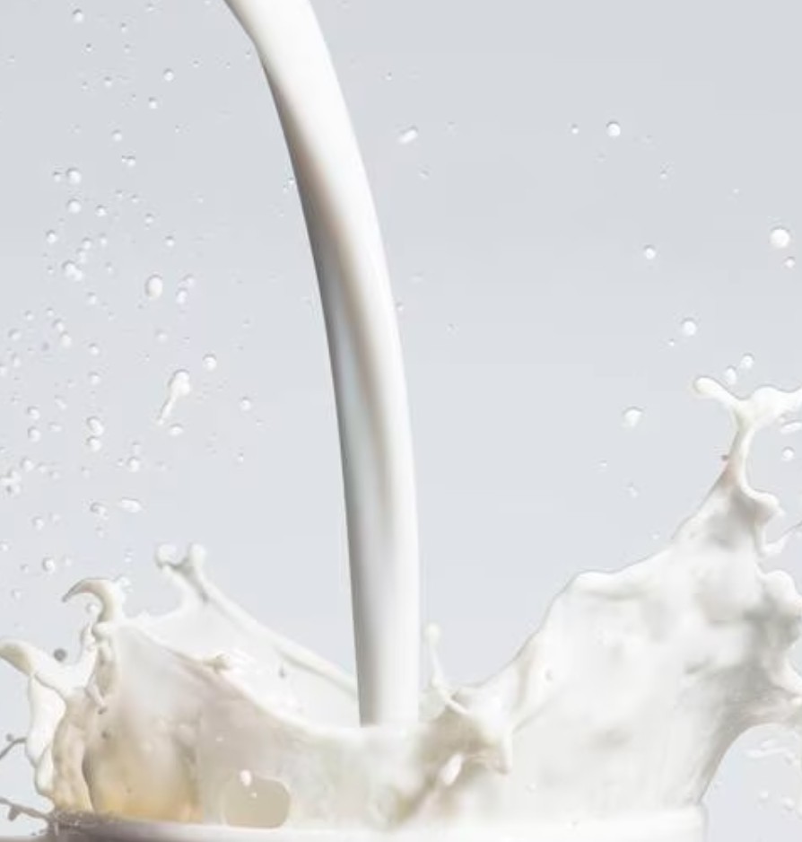 दूधजन्य उत्पादनमा नियमनकारीकाे निगरानी