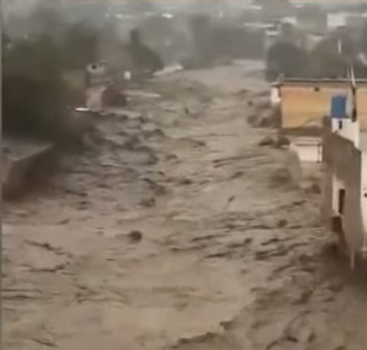पाकिस्तानमा बाढी र पहिरोका कारण २२५ जनाको मृत्यु,