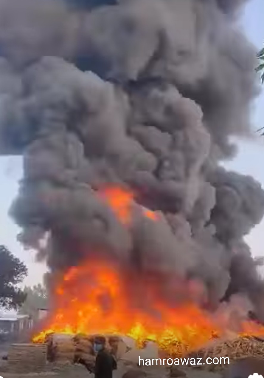Bombing in Nigeria’s Borno state kills 16 and injures dozens,