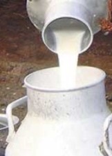 Header News Image