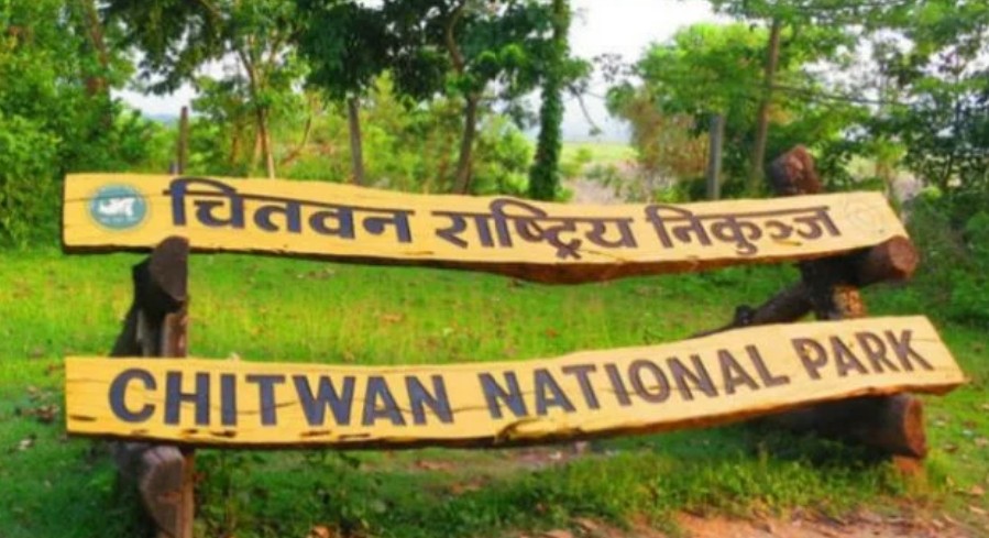 exclusive-image