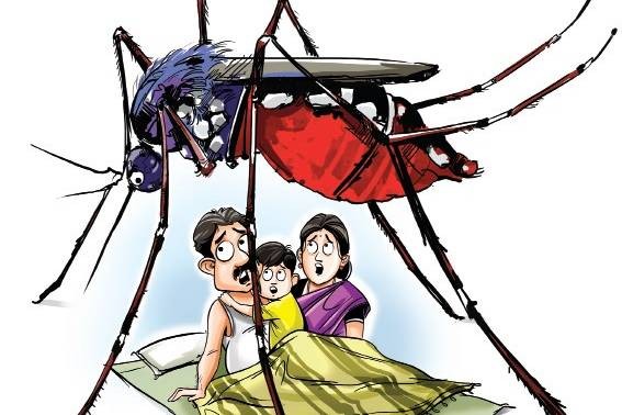 एकै दिन ४० जनामा डेङ्गी पुष्टि,